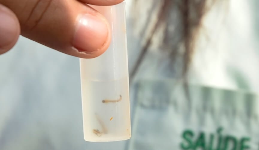 Casos de dengue diminuem 88% em Jundiaí