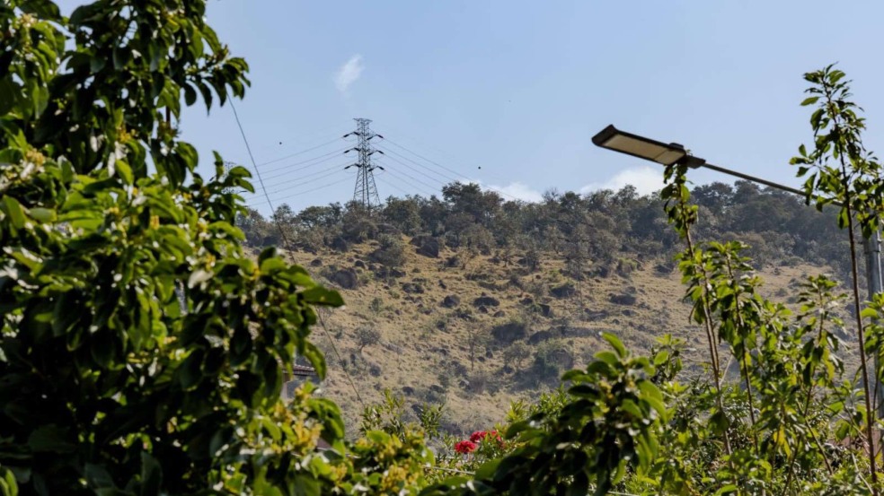 Morro da Baleia Morro da Baleia