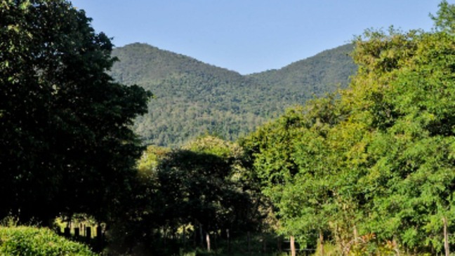 Jundiaí: região do Santa Clara terá ação ambiental neste sábado (19)