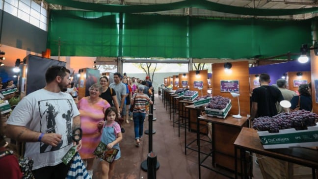 Foto da festa do ano passado, para representar a 40ª Festa da Uva