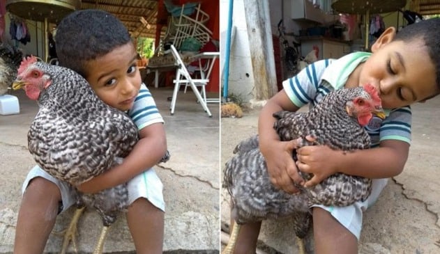 Jundiaiense e sua galinha de estimaçaõ