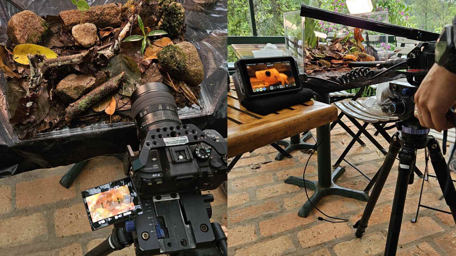 Estúdio improvisado