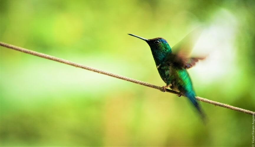 concurso fotográfico