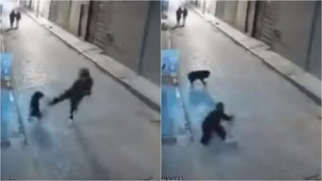 Homem chutando cachorro