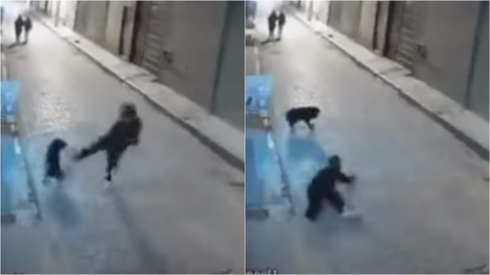 Homem chutando cachorro