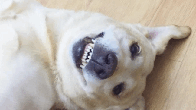 Foto: Arquivo Pessoal