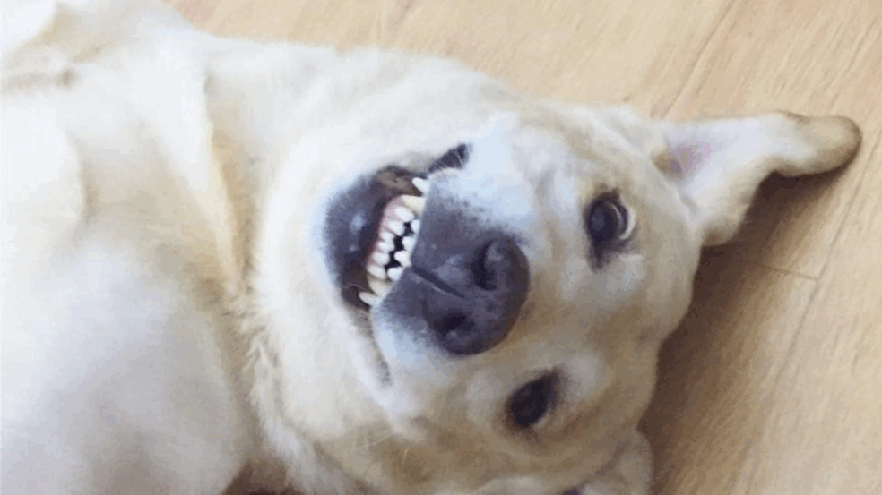 Foto: Arquivo Pessoal