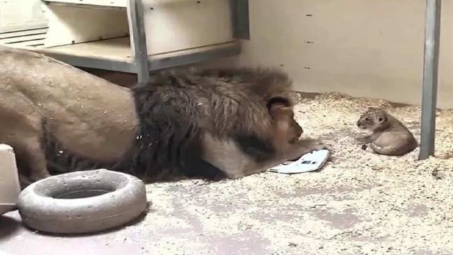 (Foto: Reprodução/Facebook)