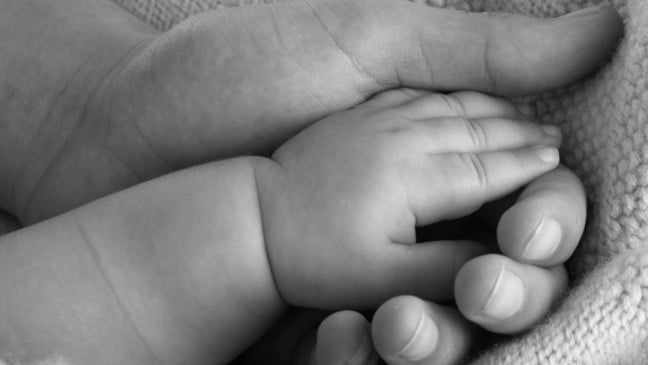 Mão de adulto e mão de bebê Mão de adulto e mão de bebê