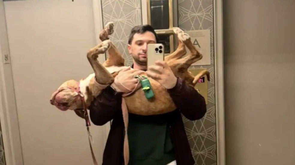 Foto: Cole Reifsnider/The Dodo