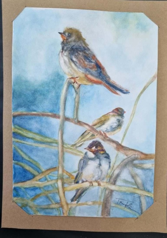 Liberdade-exposição3-compressed