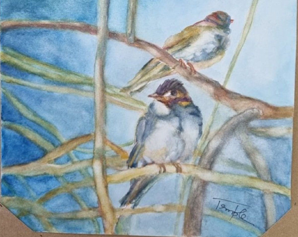 Liberdade-exposição31