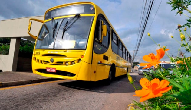 Linhas 446 e 460 não circulam no feriado escolar do dia 15