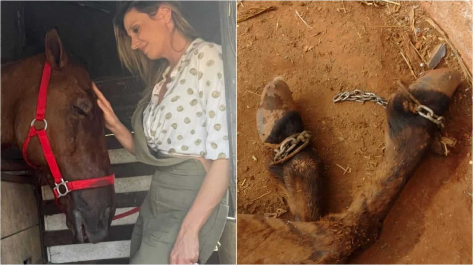 Luisa Mell acariciando cavalo e patas de cavalo com correntes