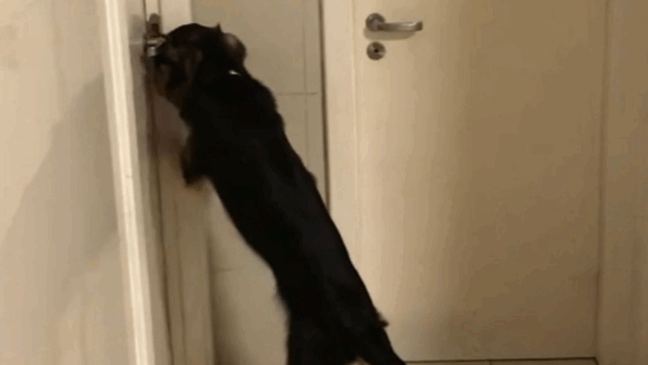 Foto: TV Verdes Mares/Reprodução