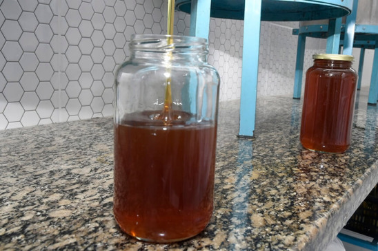 Produção de mel em Jundiaí. (Foto: Divulgação)