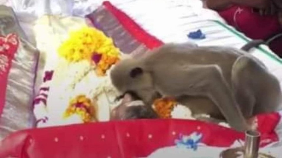 (Foto: Reprodução/facebook)