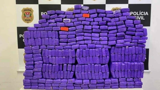 (Foto: Polícia Civil/Divulgação)
