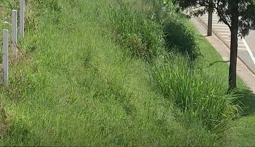 Mãe suspeita de abandonar recém-nascido em Jundiaí vai passar por avaliação psiquiátrica