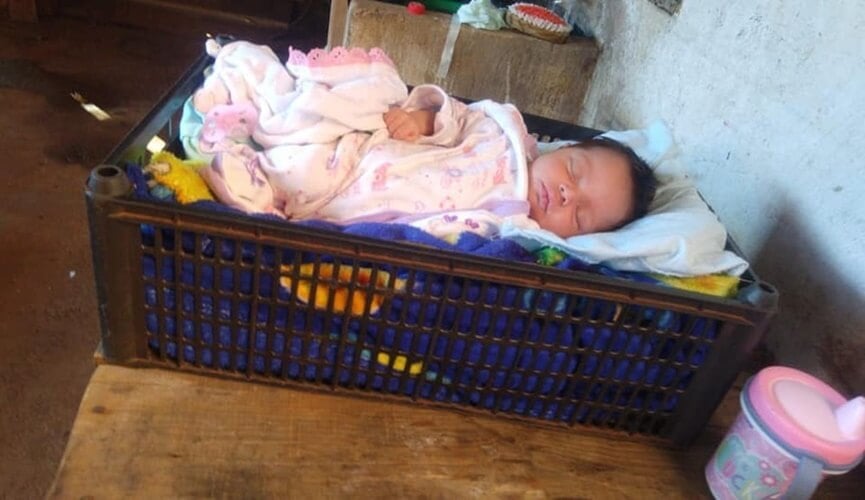 Caixa plástica se torna berço em Mato Grosso do Sul