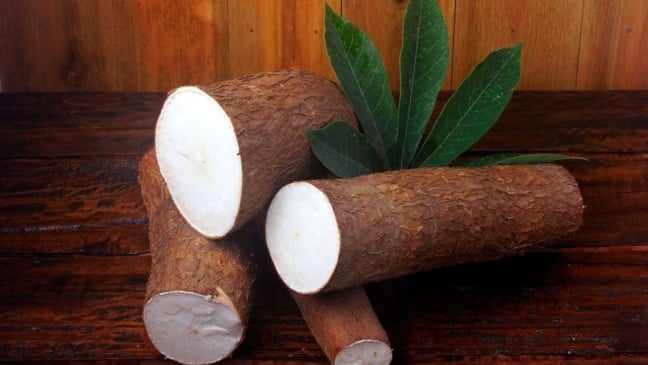 (Foto: Gilnature/Canva)