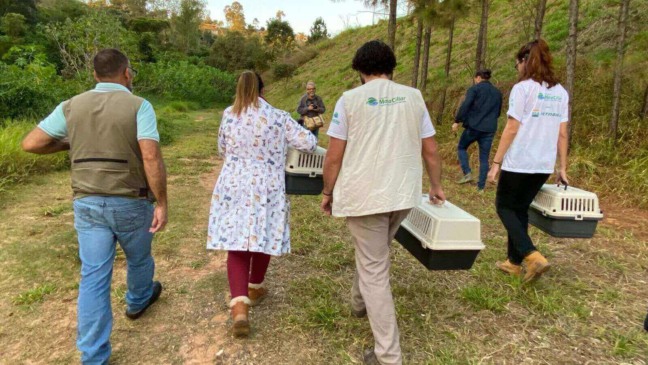 Foto: Divulgação/Mata Ciliar
