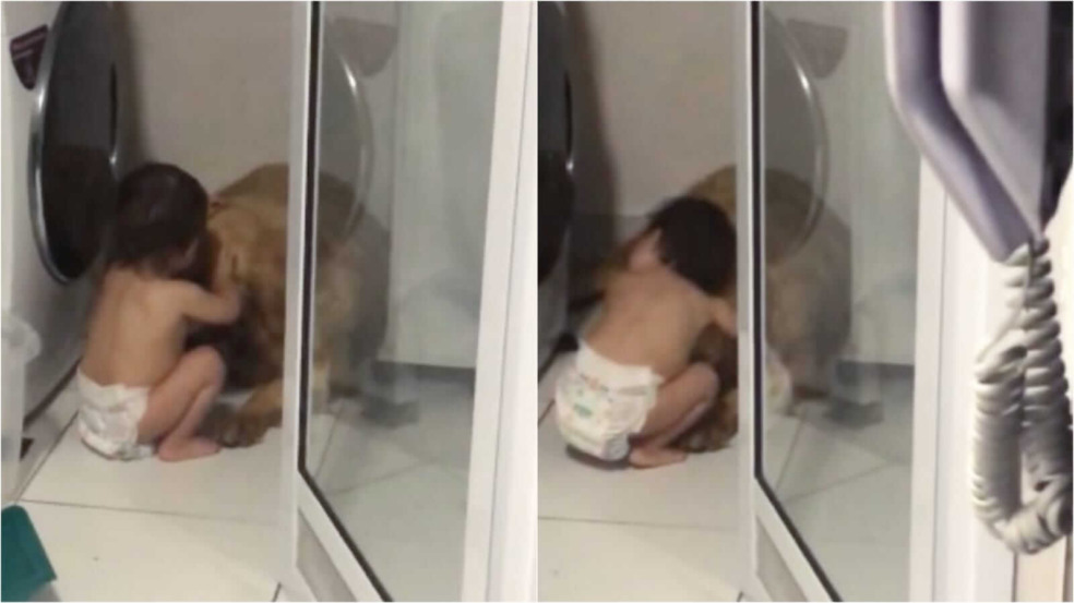 Menina fazendo carinho em cachorro