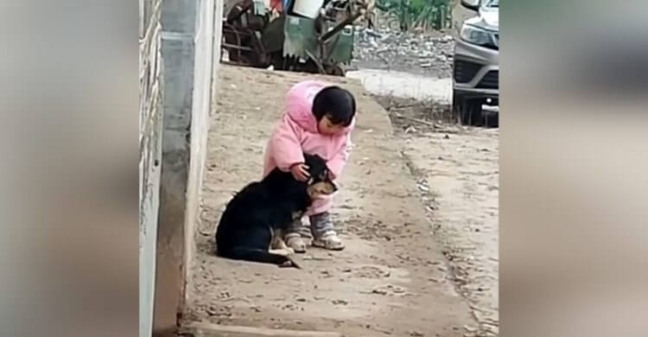 Menina tampando ouvidos de cachorro