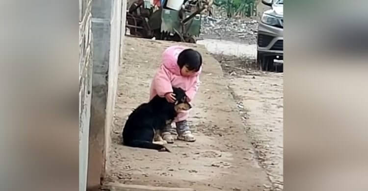 Menina tampando ouvidos de cachorro