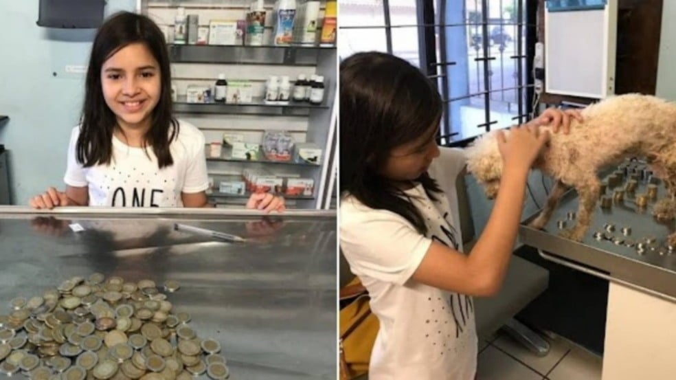 Menina usa economias para salvar cachorro abandonado Menina usa economias para salvar cachorro abandonado