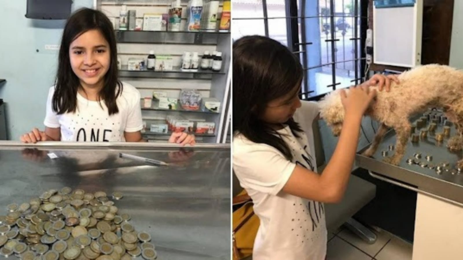 Menina usa economias para salvar cachorro abandonado