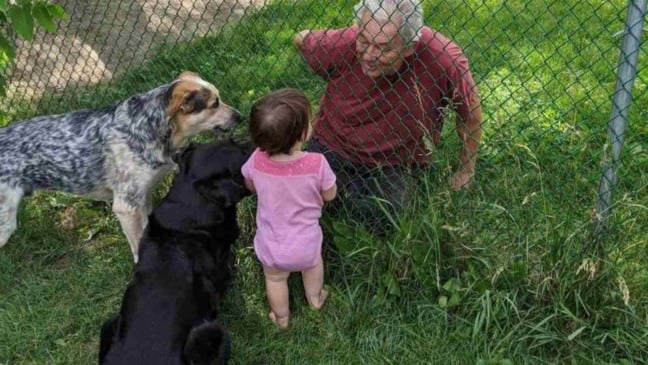 (Foto: Reprodução/catiororeflexivo)