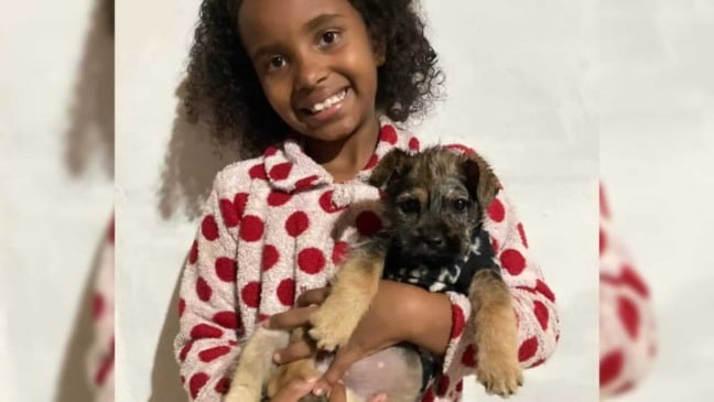 Menina com cachorro no colo