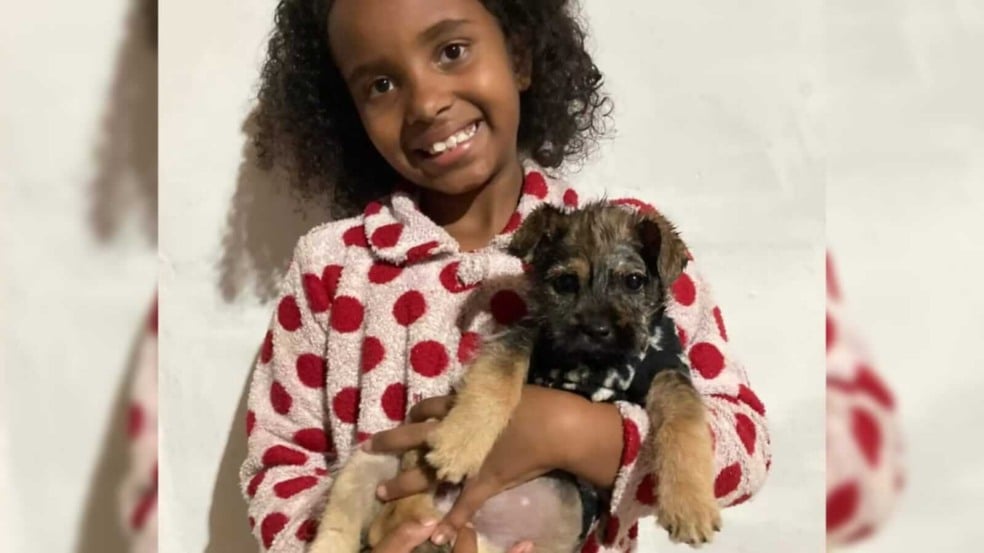 Menina com cachorro no colo