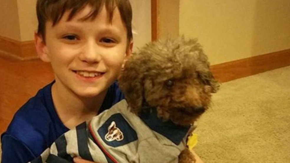 Menino adota cão mais velho do abrigo  (Foto: Reprodução/todayka)