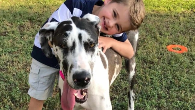 Menino abraçado com cachorro