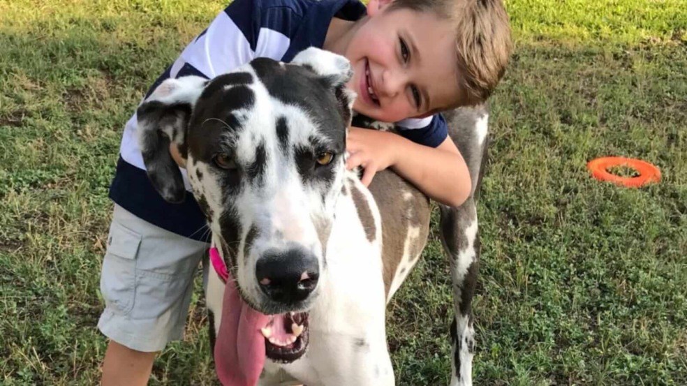 Menino abraçado com cachorro