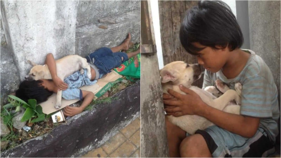 Menino com cachorro no colo