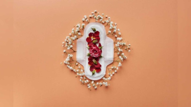 Absorvente descartavéis