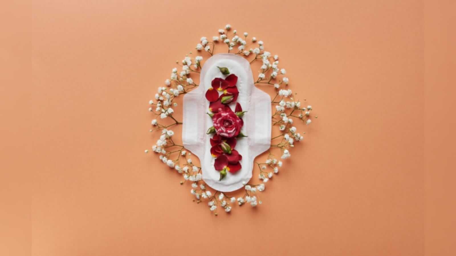 Absorvente descartavéis