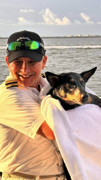 Cachorro resgatado de alto mar por cruzeiro