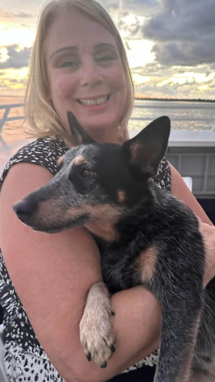 Cachorro resgatado de alto mar por cruzeiro