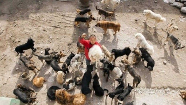 Homem cercado de cachorros