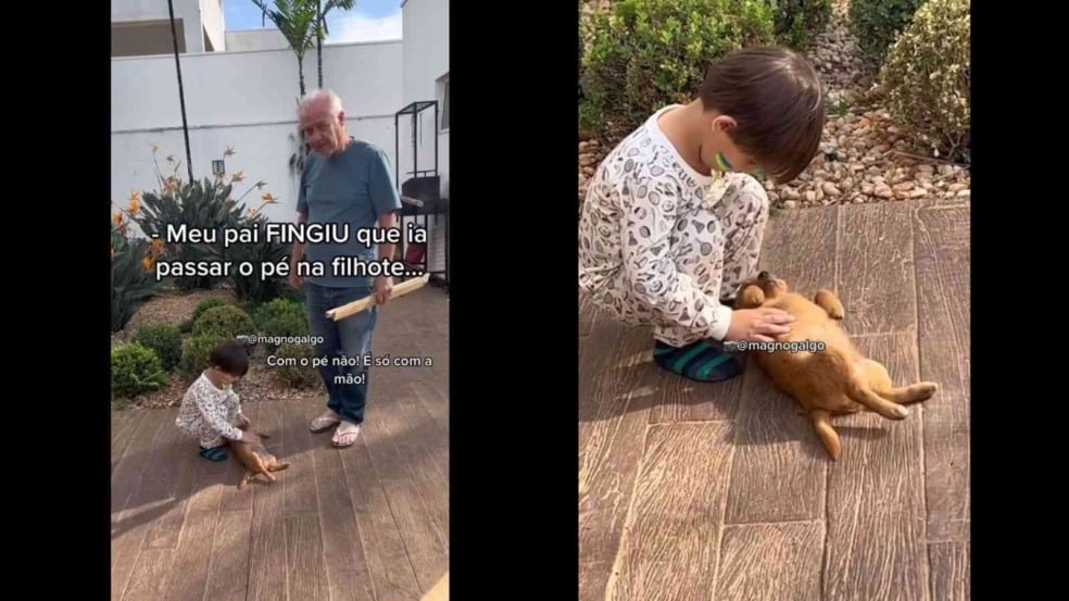 (Foto: Reprodução/TikTok)