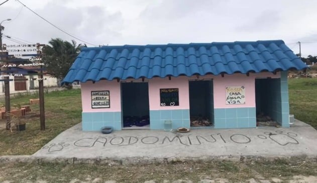 Moradores criam ‘cãodomínio’ para abrigar cachorros de rua