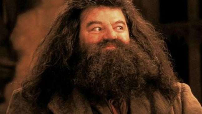 (Foto: Reprodução/HP)