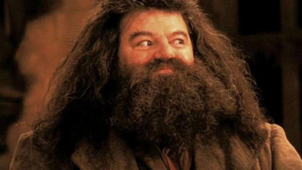 (Foto: Reprodução/HP)