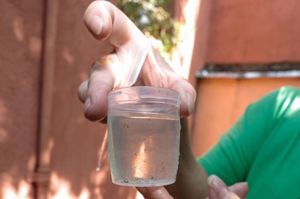 Dengue em Jundiaí: casos contraídos na cidade em 2024 superam importados