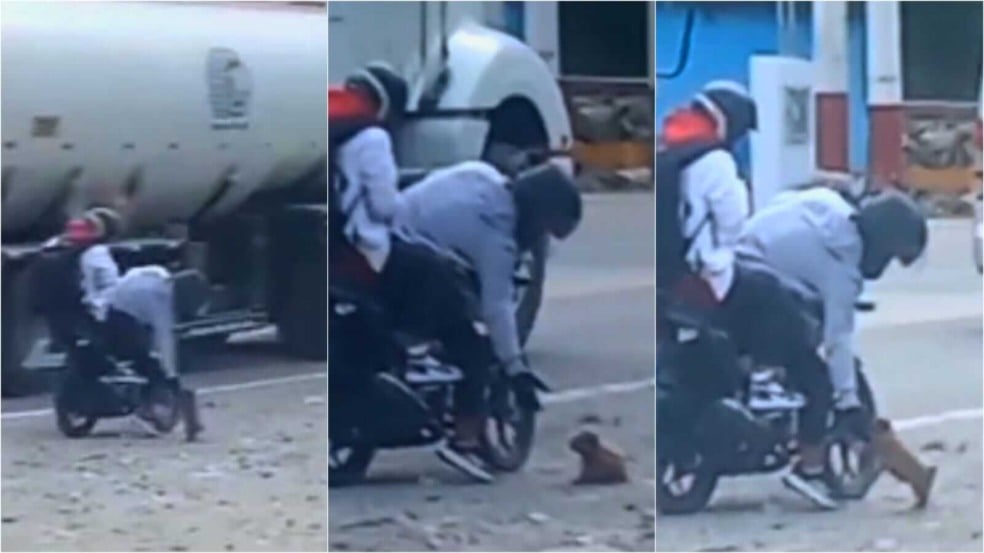 Motociclista salva cachorrinho