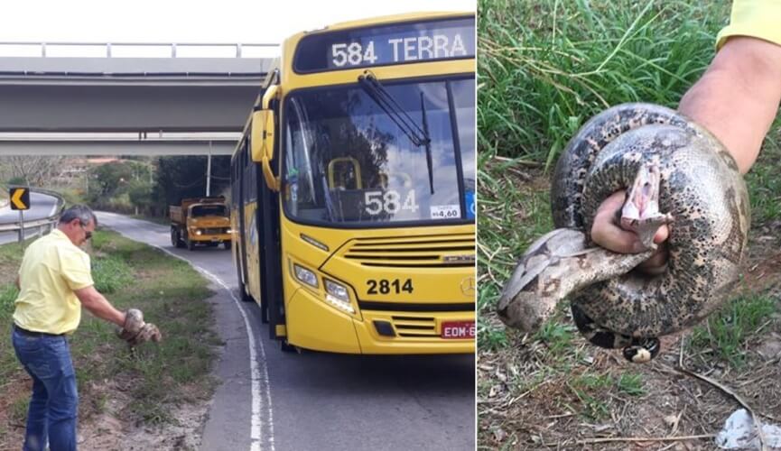 Motorista de ônibus